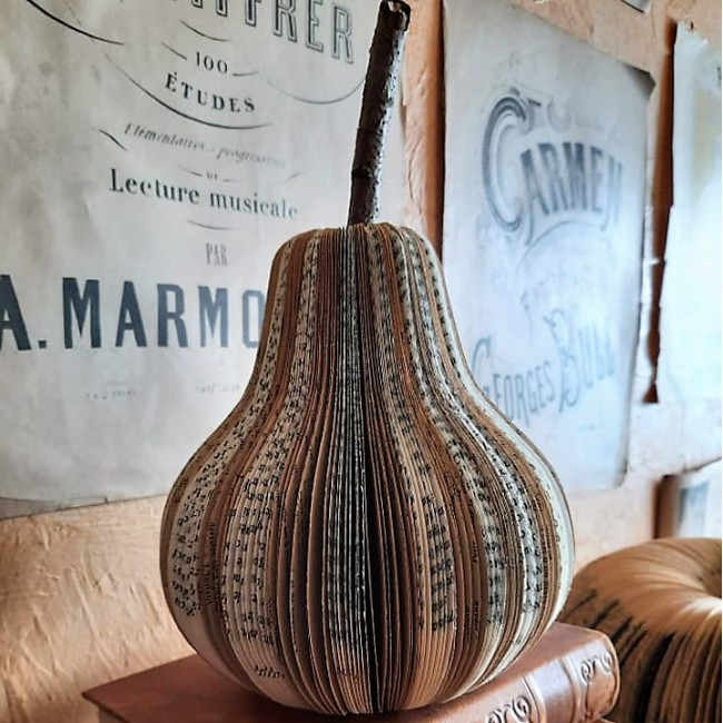 Poire bi_couleur GM Poire bi_couleur GM