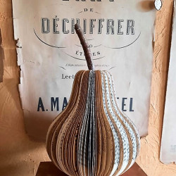 Poire bi_couleur GM