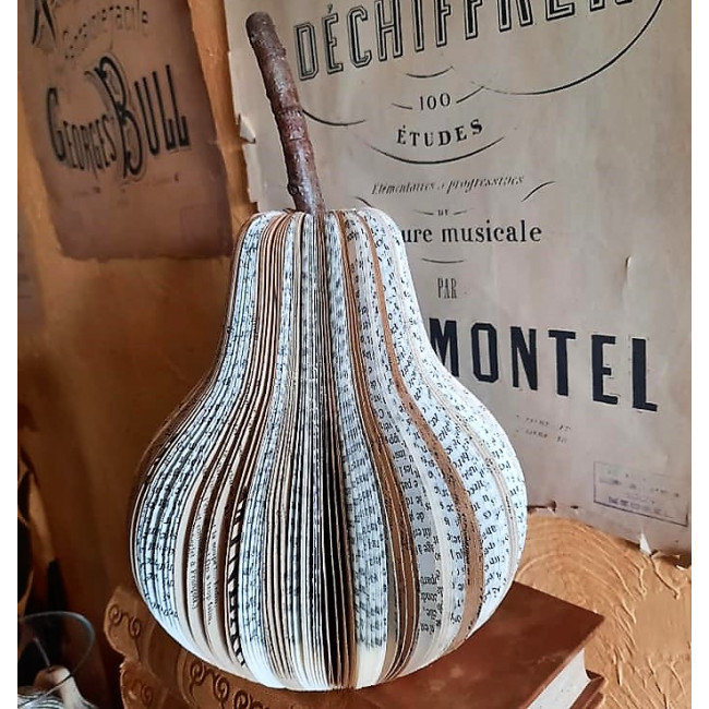Poire bi_couleur GM Poire bi_couleur GM
