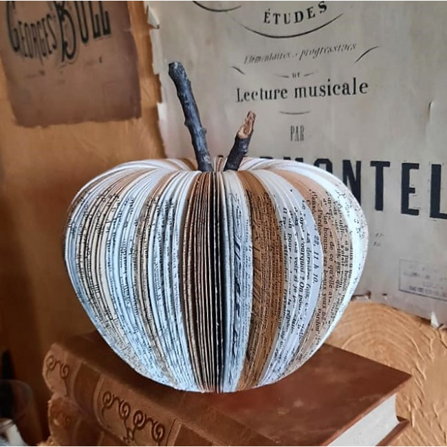 Pomme bi couleur GM Pomme bi couleur GM