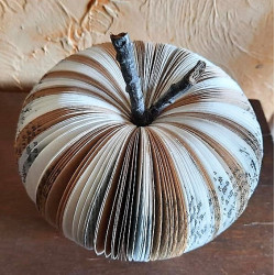 Pomme bi couleur GM