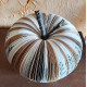 Pomme bi couleur GM Pomme bi couleur GM