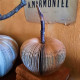 Pomme papier ancien GM Pomme papier ancien GM