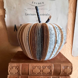 Pomme bi couleur GM