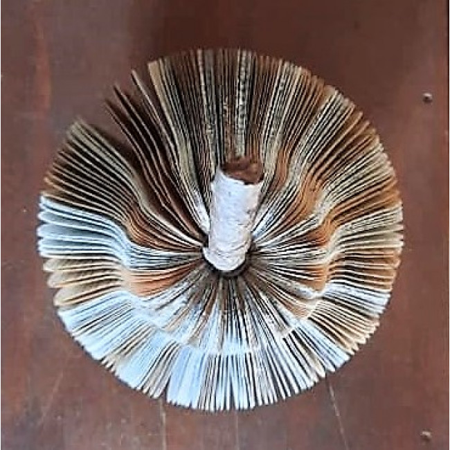 Poire bi_couleur GM Poire bi_couleur GM