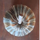 Poire bi_couleur GM Poire bi_couleur GM