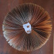 Pomme papier ancien GM Pomme papier ancien GM