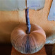 Pomme papier ancien GM Pomme papier ancien GM