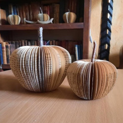 Deux pommes légèrement jaunies