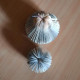 Petite pomme et petite poire Petite pomme et petite poire