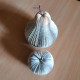 Petite pomme et petite poire Petite pomme et petite poire